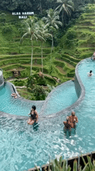 Tourists enjoy dawn pool activities at Tegallalang rice terrace resort
