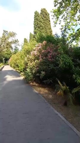 The video shows a person walking along a paved path in a park or garden. The path is bordered by lush green grass and various trees and shrubs, including palm trees, cypress trees, and flowering bushes with pink blossoms. The sky is blue with scattered white clouds. The overall scene is serene and idyllic, suggesting a pleasant day outdoors.