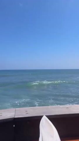 This is a vertical, outdoor, daytime video of an ocean scene. The video begins with a clear blue sky with no clouds. The ocean is a calm, turquoise color. The focus is on the ocean, with the foreground showing the edge of a wooden deck. There are a few gentle waves breaking on the shore, creating white foam. In the distance, a few people can be seen on surfboards in the water. The video is about 4 seconds long and appears to be shot from a high vantage point.