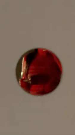 Woman documents solitary evening with wine, sushi in Belgrade apartment