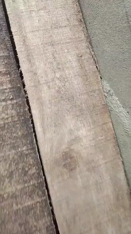 The video begins with a close-up view of a wooden plank, then pans to show a partially constructed structure. The structure appears to be made of concrete blocks, with wooden planks forming a framework or mold. There's steel rebar visible within the wooden structure. The camera then shifts to show a person walking barefoot on the wooden planks. The person is wearing shorts and a red plaid shirt. The environment seems to be a construction site.