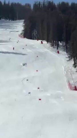 The video shows a downhill ski course with several skiers navigating through a series of red and blue gates. The course is set on a snow-covered slope, flanked by a dense forest of tall trees on the right side of the frame. The sky is blue and clear, indicating a sunny day. Skiers are dressed in athletic clothing, and their movements suggest they are racing or training. The overall scene captures a typical day of competitive skiing or training in a mountain resort.