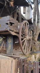 Traditional carts spotted across Đà Lạt's Lâm Viên district