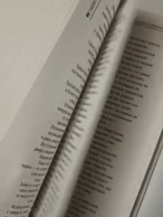 Reader studies Russian translation of "48 Laws of Power"