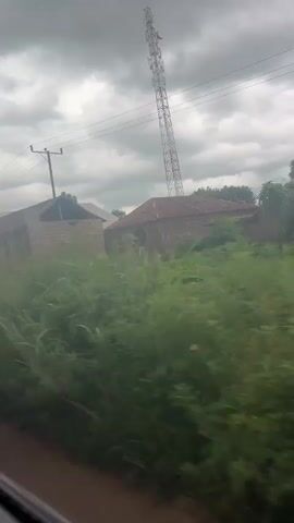 The video captures a moving shot of a rural landscape under a cloudy sky. In the foreground, a dirt road is visible. The middle ground features several low-rise buildings with corrugated metal roofs, surrounded by lush green vegetation and trees. A prominent telecommunications tower stands tall in the background. The camera pans across the scene, offering glimpses of various structures and natural elements.
