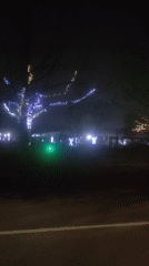 Christmas lights illuminate trees and buildings in Khimki