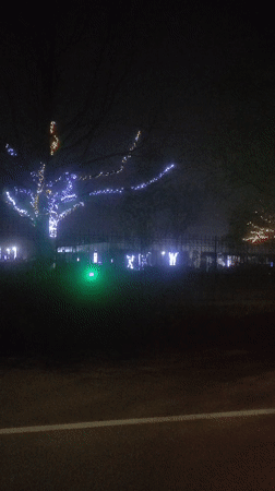 Christmas lights illuminate trees and buildings in Khimki