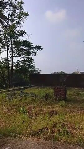 The video shows a slowly panning view of an outdoor environment. The scene appears to be a developing or partially developed area. In the foreground, there is overgrown grass and some dirt. In the background, there is a low brick wall and some trees. A small, slender tree stands prominently in the middle of the frame at one point. Further in the distance, there are some buildings, including a partially constructed or unfinished white structure with a tiled roof. There are also other trees and greenery scattered throughout the scene. The sky is visible and appears partly cloudy. The overall impression is one of an open, somewhat unkempt space with indications of construction or property development.