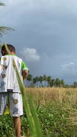 A boy is walking through a grassy field under a cloudy sky. He is wearing a white shirt with green trim and colorful shorts. Palm trees are visible in the distance.