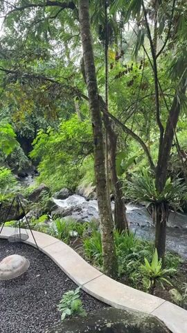 The camera pans up from a rock filled, grey-walled seating area towards a flowing stream and jungle area. The landscape appears to be tropical, with tall thin palm trees and dense green foliage. The stream is lined with large rocks and boulders, and the jungle stretches away into the distance.