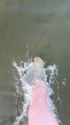 A person's legs and feet are submerged in murky green water. The person is kicking their legs, creating splashes and ripples. A fish is visible in the water, thrashing and splashing as it is disturbed by the movement. The environment appears to be a natural body of water, possibly a lake or pond, with some debris visible on the surface.