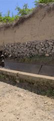 Rural life documented in Huramzai pomegranate farming community