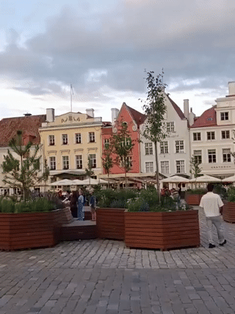 Wandering Tallinn's Old Town: squares, streets, and quirky stops