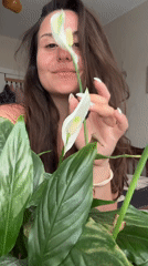 Peace lily moments and a wrist check in Plovdiv