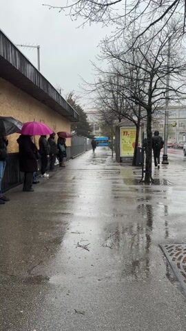 A rainy day scene shows a row of people standing in line along a sidewalk. The sidewalk is wet, reflecting light. Some people in line are holding umbrellas, including one that is pink. A bare tree stands to the right of the line.  A bus stop is located further down the sidewalk. A person walks past the bus stop. Cars drive on the street beside the sidewalk. The sky is overcast.