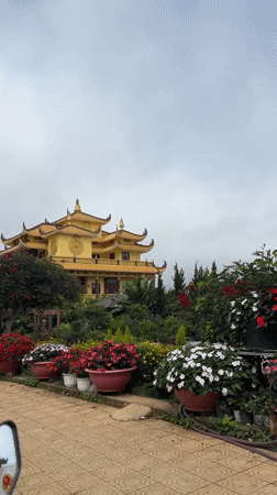 Traditional pagoda building documented amid gardens in Da Lat