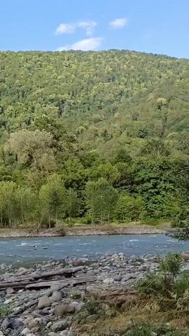 The video pans across a wide river with a rocky shore. On the left side of the riverbank, a group of people are standing on a concrete structure near the water. Beyond the river, a lush, green, tree-covered mountain slopes upwards under a clear blue sky with a few white clouds. Debris, including logs and branches, is scattered along the riverbank in the foreground.