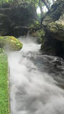 This media file shows a serene natural scene, likely a waterfall or stream flowing through a rocky, jungle-like environment. The water is shrouded in a thick, white mist, creating a mystical and calming atmosphere. Lush green foliage and moss-covered rocks frame the flowing water, with trees visible in the background. The scene is brightly lit, suggesting it is daytime, possibly morning or late afternoon given the soft light. The overall impression is one of tranquility and natural beauty. There is no visible text in the media file.