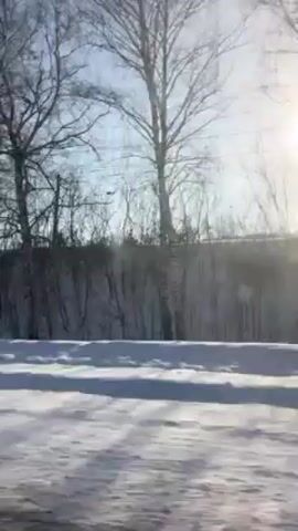 The video shows a view from a moving vehicle, likely a car, on a bright, sunny day. The foreground is a snowy landscape. Trees with bare branches line the side of the road, their shadows stretching across the snow. The sun is high in the sky, creating a glare. The sky is a clear, pale blue. Power lines are visible in the background.