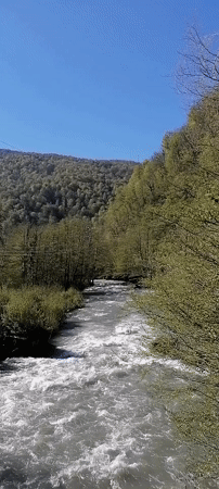 Turbulent river rapids documented in Chvizhepse, Russia