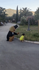 Ordinary moments captured: costumed play, stray cats feeding, motorcycle washing