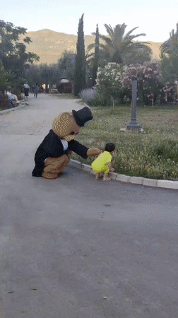 Ordinary moments captured: costumed play, stray cats feeding, motorcycle washing