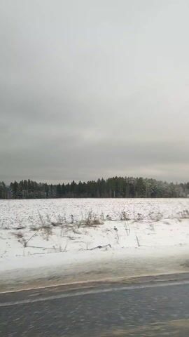 The video shows a landscape covered in snow under an overcast sky.  A flat field with stubble peeking through the snow stretches towards a line of evergreen trees in the distance. The scene is viewed from a moving vehicle, with a glimpse of the asphalt road visible in the foreground.