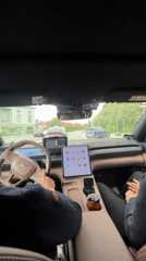 Driver observed in tan-interior vehicle on Oslo street