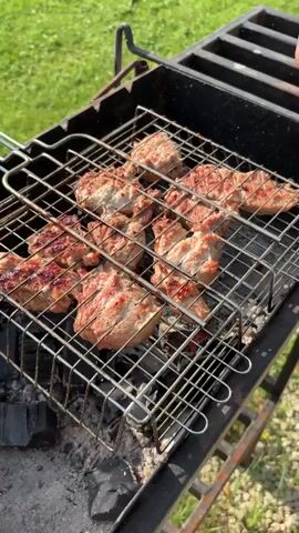 The video shows a close-up of raw meat sizzling on a grill outdoors on a sunny day. The meat is arranged in a grill basket placed over hot coals. The grill is black metal with a red handle on the basket. The background is a blurry green lawn and trees. The camera pans slightly to the right and zooms out a bit, revealing more of the grill and the grassy environment. There are no people visible in the shot. The overall atmosphere is that of a barbecue or outdoor cooking event.
