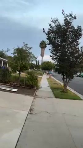 A view from a sidewalk looking down the sidewalk toward people in the distance. It is around 7 p.m. There are houses on either side of the street, and trees line the sidewalk.