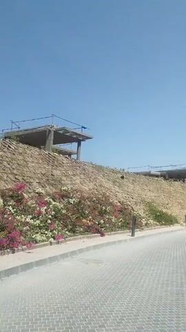 The video shows an outdoor scene under a clear blue sky, likely taken from a moving vehicle. The camera captures a paved road with a textured pattern, possibly cobblestones or pavers, stretching forward. To the right of the road is a low curb separating it from a strip of colorful flowering plants (predominantly pink, white, and red blossoms).

Beyond the flowers, a steep, arid hillside rises, covered with dry grass, sparse vegetation, and visible rocks and dirt. At the crest of the hillside, an unfinished concrete structure, possibly a building under construction or a platform, is visible. It consists of concrete slabs and columns, with rebar protruding from some sections. Further along the hillside, another similar unfinished structure can be seen. Several small, dark, bollard-style lights are spaced along the edge of the paved road. The bright sunlight suggests it is daytime. No people or visible text are present in the video.