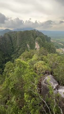 A panoramic shot shows a lush, verdant landscape dominated by a series of towering, jagged karst mountains covered in dense green foliage. The foreground is filled with the tops of trees, with some rocks visible on the right side. The middle ground showcases the dramatic slopes and cliffs of the mountains, interspersed with more trees and vegetation. In the background, layers of mountains recede into the distance under a cloudy sky with hints of sunlight breaking through. The overall scene conveys a sense of remote, natural beauty.