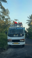 Power line maintenance crew spotted working in Tegallalang