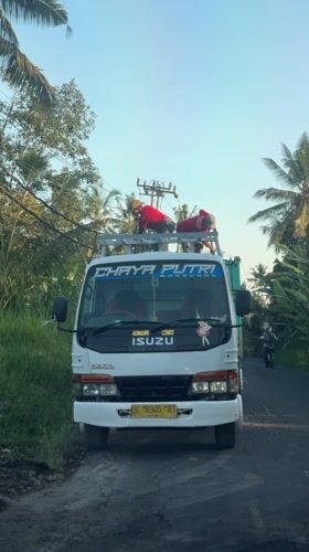 Power line maintenance crew spotted working in Tegallalang
