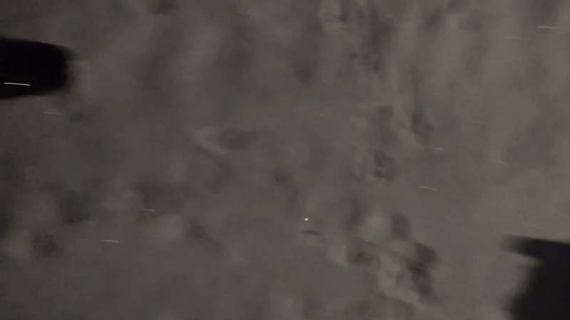 Dogs play in fresh snow during Russian nighttime