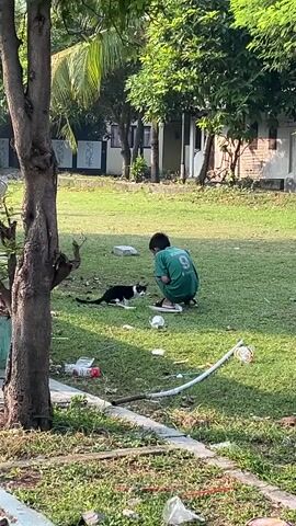 A person wearing a green shirt with the number 9 on the back is crouching down on a grassy area, interacting with a black and white cat. The cat is looking at something on the ground near the person's feet. The environment appears to be outdoors, with trees and buildings in the background. There is some litter scattered on the grass.