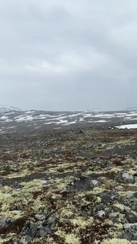 The video opens with a wide shot of a rocky, mossy, mountainous landscape under an overcast sky, with patches of snow visible in the distance. A single person wearing a green hoodie and a red backpack walks across the frame from left to right, moving away from the camera. Subsequently, a group of five individuals, dressed in various colored outdoor hoodies (red, white, orange, black with red cap, and green) and carrying backpacks, walks in the same direction across the rocky terrain, also moving away from the camera.