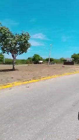 The video depicts a view from a moving vehicle on a sunny day. The road is asphalt and has a yellow curb. On the right side of the road, there's a grassy area with trees and a sculpture made of stone and figures. In the background, there's a clear blue sky with a few clouds and a hill covered with green vegetation. The sound of strong wind can be heard.