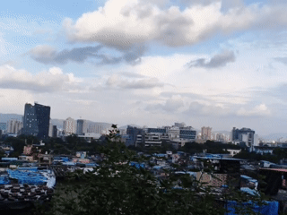 Thane skyline seen through dense hillside foliage