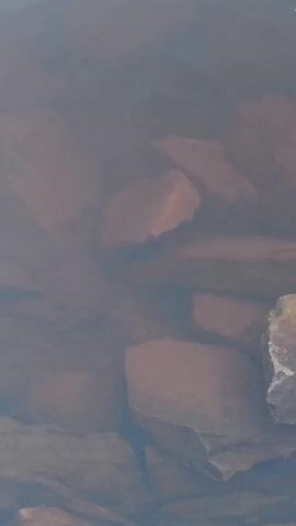 The video begins with a close-up of submerged rocks in murky water. The view then transitions to a wider shot of a calm body of water, possibly a lake, with a faint reflection of light on the surface. In the distance, a large hill or mountain range is visible, silhouetted against a pale sky. As the video progresses, the sky becomes more colorful, displaying soft hues of pink and blue, and the moon becomes visible as a sliver in the upper left quadrant. The reflection of the light on the water continues throughout the sequence.