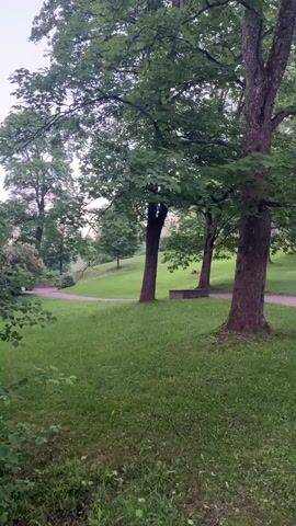 A path curves through a park with green grass and trees. A wooden bench is visible on the left side of the path. A signpost with a blank sign is also visible to the right of the path. Further along the path, a building with a red roof is visible between the trees. Another signpost is visible in the distance.