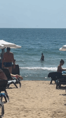 Seagulls take over a busy Nesebar beach on a summer morning