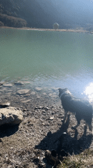 Dog walker visits scenic Argentine mountain lake with waterfalls