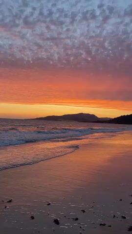 The video shows a beach at sunset. The sky is filled with clouds painted in hues of orange, pink, and purple. Gentle waves lap at the shore, reflecting the vibrant colors of the sky. The wet sand also mirrors the sunset, creating a shimmering effect. Hills or mountains are visible in the distance. Scattered on the sand are small pieces of dark seaweed. There are no people or animals visible in the video. The overall atmosphere is serene and peaceful.