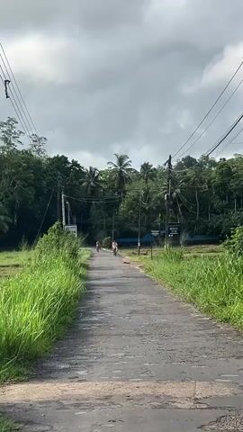 The video shows a rural landscape in Sri Lanka under a cloudy sky. There is a narrow, worn-out asphalt road running straight through the scene, flanked on both sides by lush, green rice paddies. Tall grasses grow along the edges of the road. Two individuals are riding bicycles in the distance along the road, heading towards the viewer. Power lines stretch across the road above. Trees, including palm trees, line the horizon. The clouds in the sky are light grey and white, and there are hints of sunlight breaking through. The overall atmosphere is peaceful and somewhat overcast.