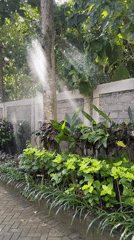 Morning traffic jam and garden sprinklers in Kuta Selatan