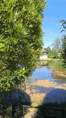 Casual walking tour documented in sunny Верея, Russia