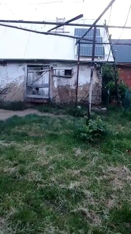 The video pans across a yard with overgrown grass. In the background, there is a small, weathered building with peeling paint, a wooden door, and solar panels installed on the roof. To the right of this building, there is a larger brick structure. A trellised structure, possibly for supporting plants, extends over the yard. The yard also contains a tree, a tree stump, and some scattered debris. The overall impression is of a rural or semi-rural setting.