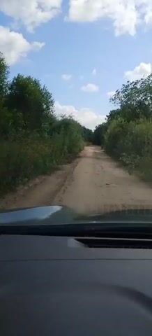 The video is a first-person perspective from inside a vehicle driving on a dirt road. The road is flanked by dense green foliage and trees. The sky above is blue with scattered white clouds. The dashboard of the vehicle is visible in the foreground, and the road stretches ahead, curving slightly into the distance. The vehicle appears to be moving forward, as indicated by the changing perspective and the slight shake of the camera. There are no people visible in the video, and no other vehicles are apparent. The environment suggests a rural or natural setting, possibly a forest or wooded area.
