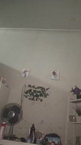 The video shows a room with a fan on the left side and some shelves on the right. The walls are light-colored and appear to be textured. There are two small framed pictures hanging on the wall, one with a floral design and another with a single flower. A vine-like decoration with green leaves is also attached to the wall. A floor fan is visible in the lower left corner. The shelves on the right hold a few decorative items, including what appears to be a vase with purple flowers and another with smaller plants. The lighting in the room is dim, with a ceiling light visible at the top of the frame. The overall impression is of a simple, decorated living space.